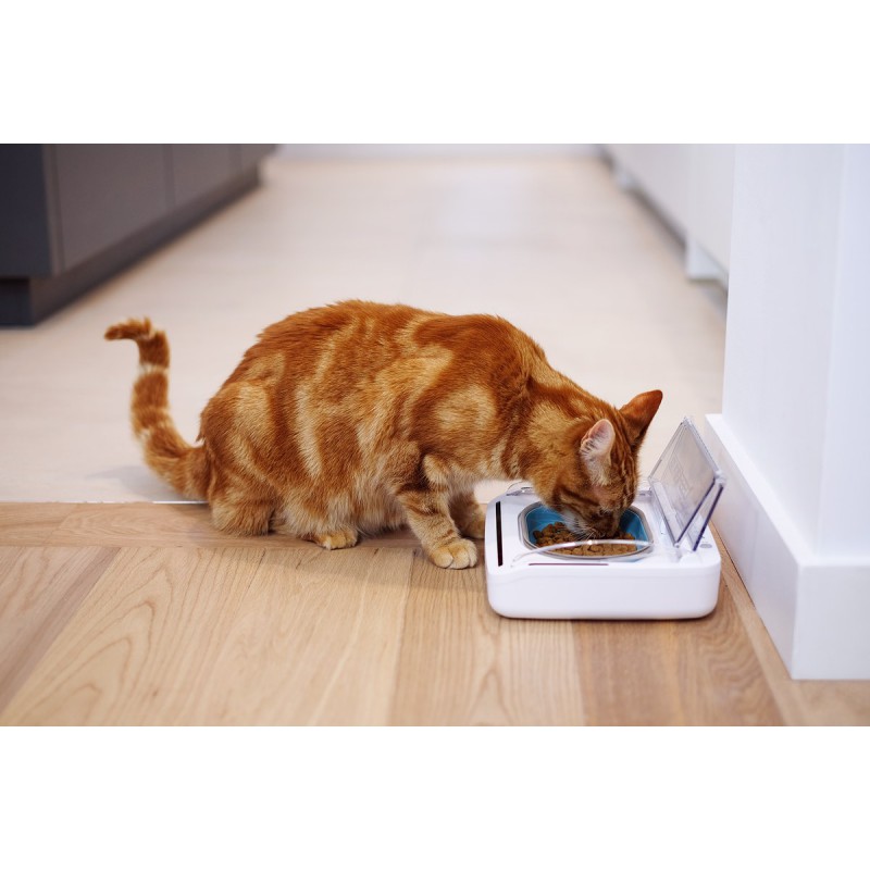 Surefeed Bol Hermetique Direct Vet