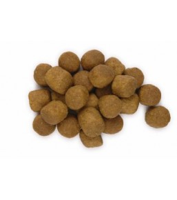 Science Plan Canine Adult Adv. Fitn. Large Breed Lamb&Rice