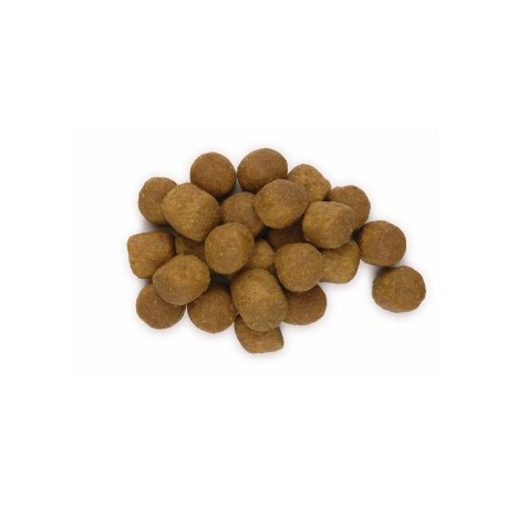 Science Plan Canine Adult Advanced Fitness Large Breed Lamb&Rice