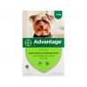 Advantage Chien - Pipettes anti-puces
