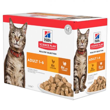 Hill S Science Plan Chat Adulte Multipack Poultry Selection Selection De Bouchees En Sauce Pour Chat Adulte Direct Vet Hill S Science Plan Chat Adulte Multipack Poultry Selection Selection De Bouchees En Sauce Pour Chat Adulte Direct Vet